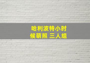 哈利波特小时候萌照 三人组